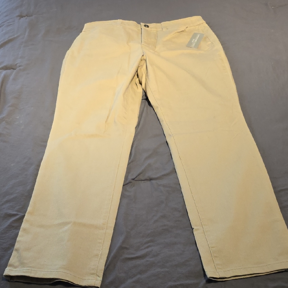 Christopher & Banks Tan Women's Pants